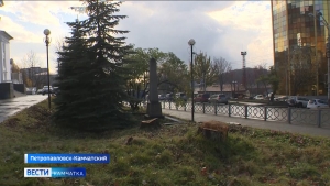 Зеленые насаждения в краевом центре задокументируют