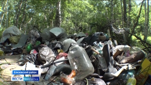 Несанкционированные свалки появились в Елизовском районе
