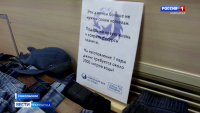Ровно год исполнился пространству осознанного потребления на острове Беринга