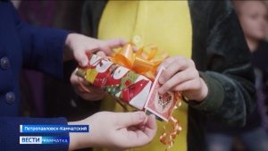 Новогодние пожелания детей воплотили руководители камчатского правительства
