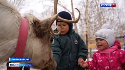 На Камчатке воспитанники «Дома ребёнка» навестили этнопарк с ездовыми собаками