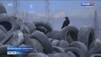 На Камчатке стартует акция по приему покрышек