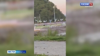 Медведь в центре Петропавловска
