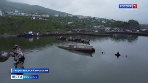 На Камчатке продолжается реализация проекта "Экология"