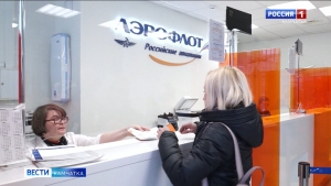Правительство России ввело ограничение на покупку субсидированных авиабилетов