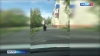 Медведь заблудился на улицах Петропавловска-Камчатского