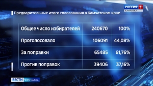 Известны итоги голосования по поправкам в Конституцию России