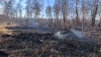 Три лесных пожара в Пенжинском районе