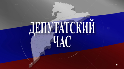 ДЕПУТАТСКИЙ ЧАС | Анна Давыдова
