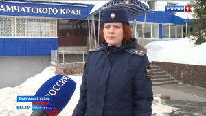 Житель Елизовского района предстанет перед судом за то, что забил чужую корову