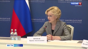 Ирина Яровая предложила упростить оформление инвалидности