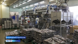 Рыбодобывающим компаниям помогут с экспортом продукции