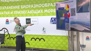 &laquo;Красные приливы&raquo; на Камчатке &ndash; стечение обстоятельств