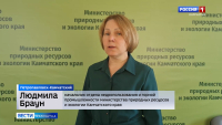 Защита населенных пунктов