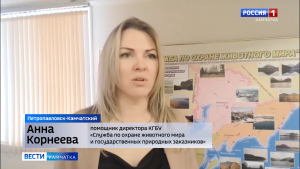 Более 600-сот охотников на зайца проверили инспекторы с начала сезона