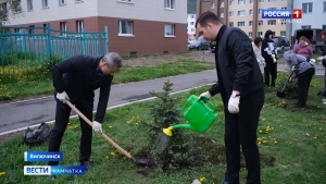 Акция "Сад памяти" прошла в городе моряков-подводников