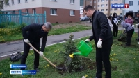 Акция "Сад памяти" прошла в городе моряков-подводников