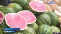 Третьего августа отмечают один из самых вкусных праздников – День арбуза