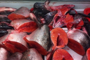 На полуострове рыбная продукция подешевеет