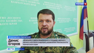 Мероприятия по сохранению леса
